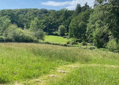 Fully enclosed meadow available to guests at The Thatched Cottage