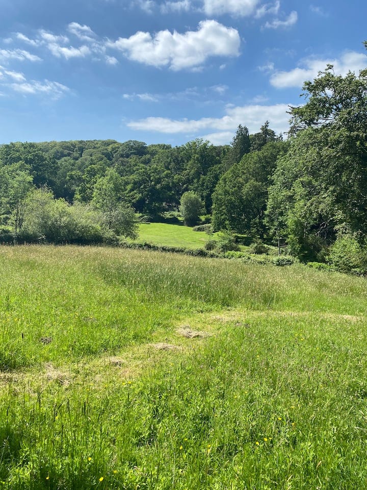 Enclosed meadow available to guests at The Thatched Cottage