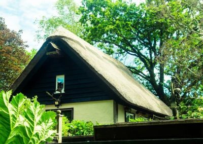 Traditional thatched roof detail at The Thatched Cottage in Bramshaw