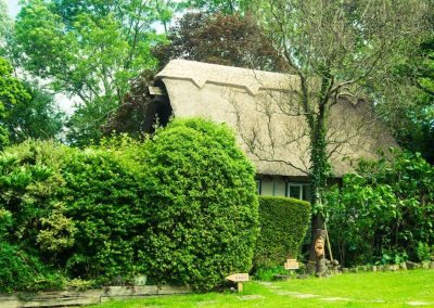 Exterior of The Thatched Cottage in Bramshaw, New Forest