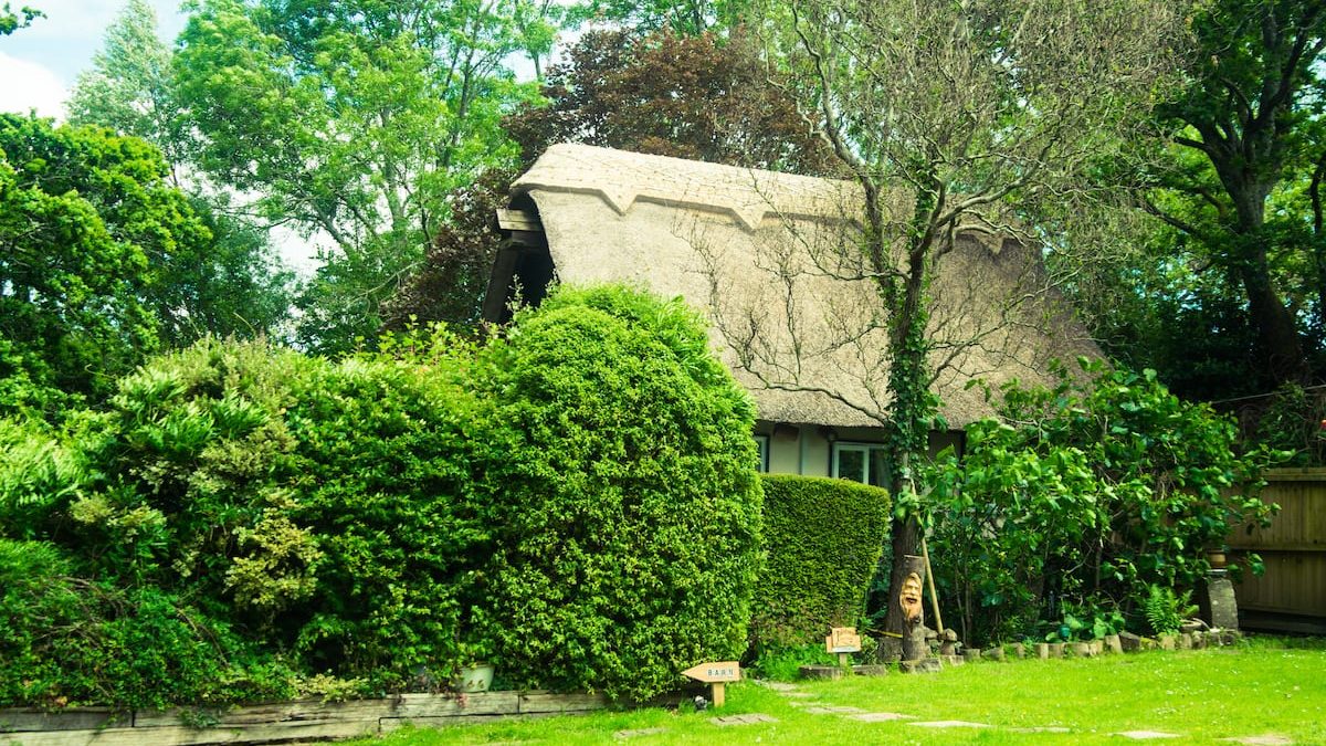 The Thatched Cottage in Bramshaw, New Forest